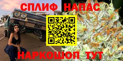 тгк Аша