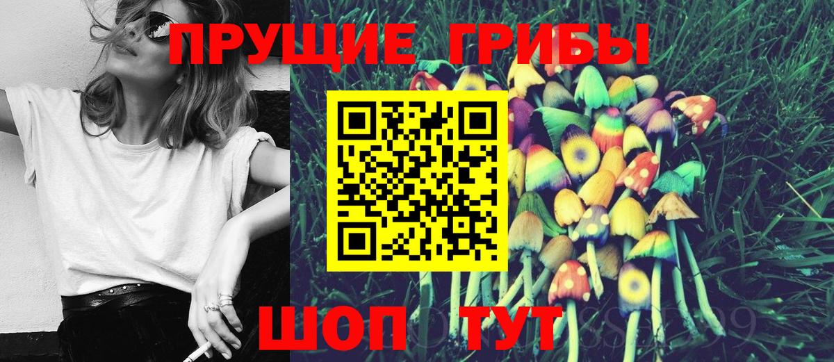 Галлюциногенные грибы Psilocybine cubensis  Вход с VPN  Галлюциногенные грибы прущие грибы  Алексеевка 