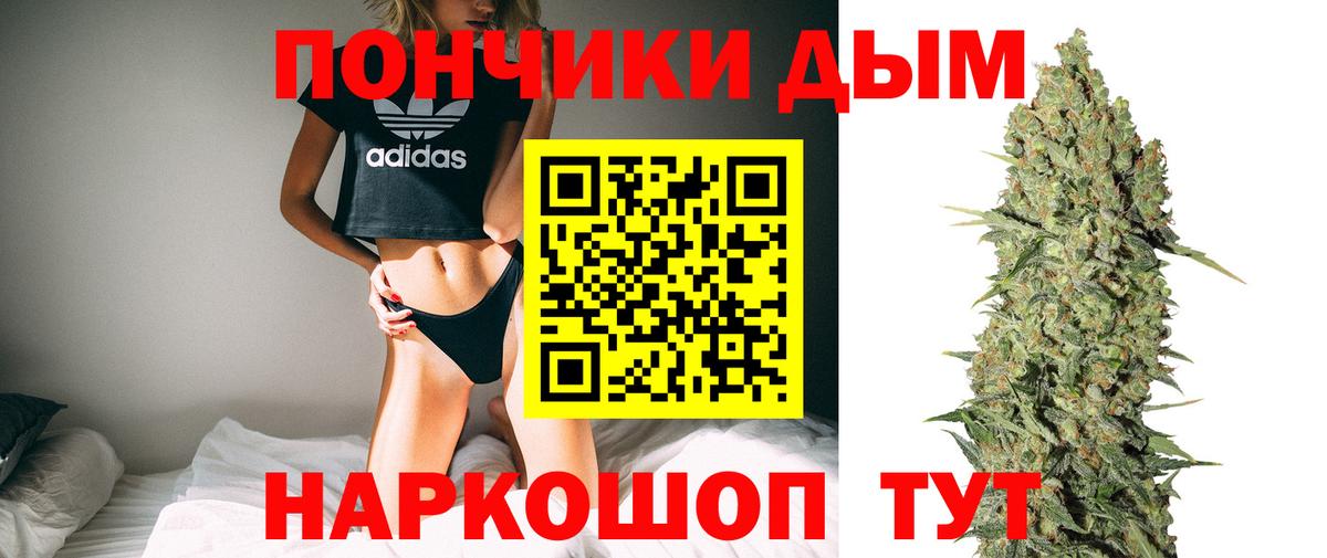 Бошки марихуана индика  Бошки Шишки AK-47  Вход с VPN  Конопля семена  Шишки марихуана марихуана  Алексеевка 
